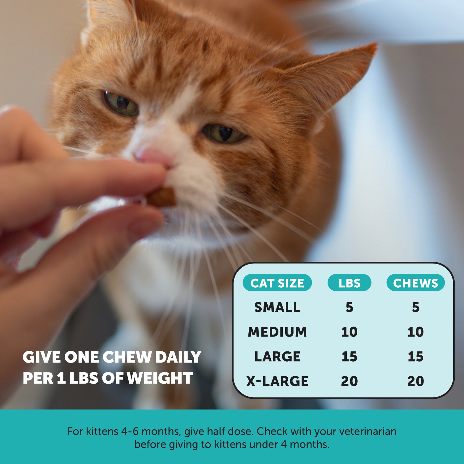 2024_Listingimages_CatCalming_Instructions.jpg