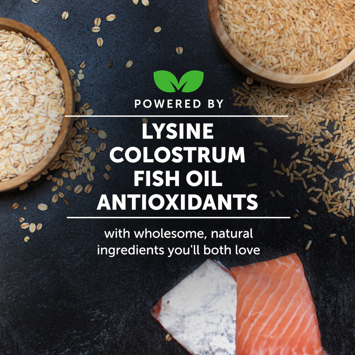 2024_Listingimages_CatimmuneSupportLysine_PowerClaim.jpg