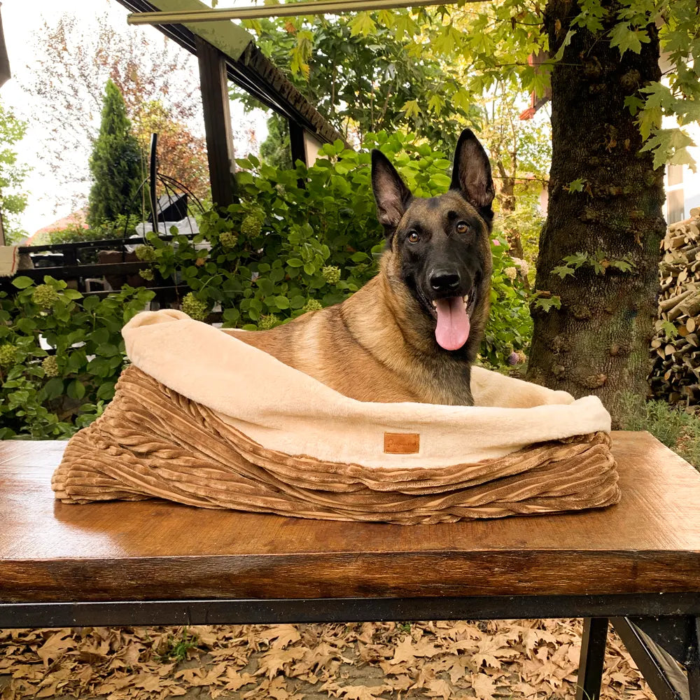 cozy-cave-dog-bed-velvet_4.jpg