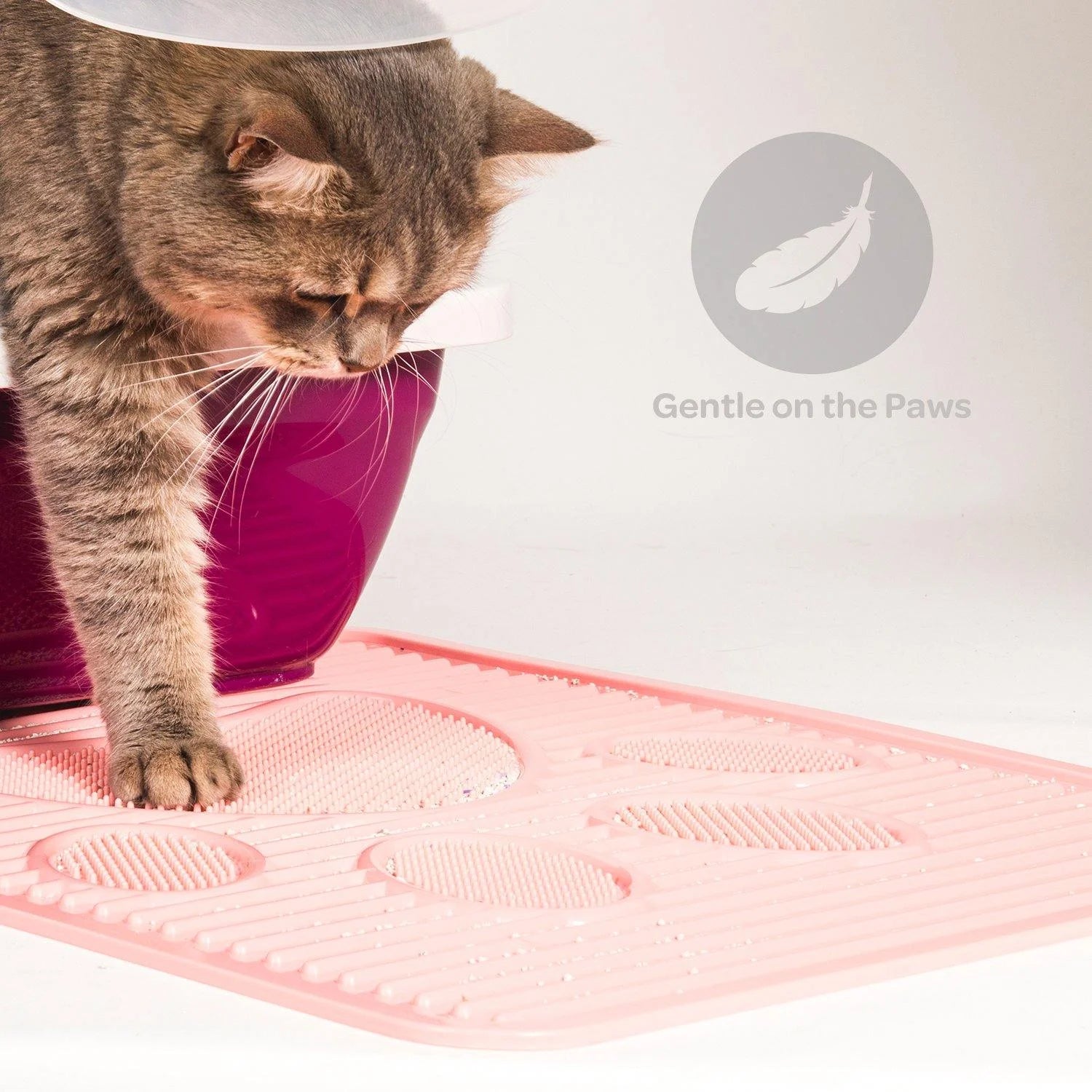 waterproof-cat-litter-mat-6.jpg